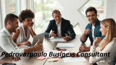 Pedrovazpaulo Business Consultant