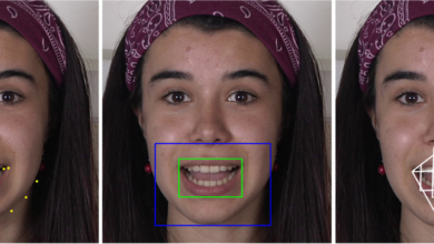 Labial Lineage Luminary